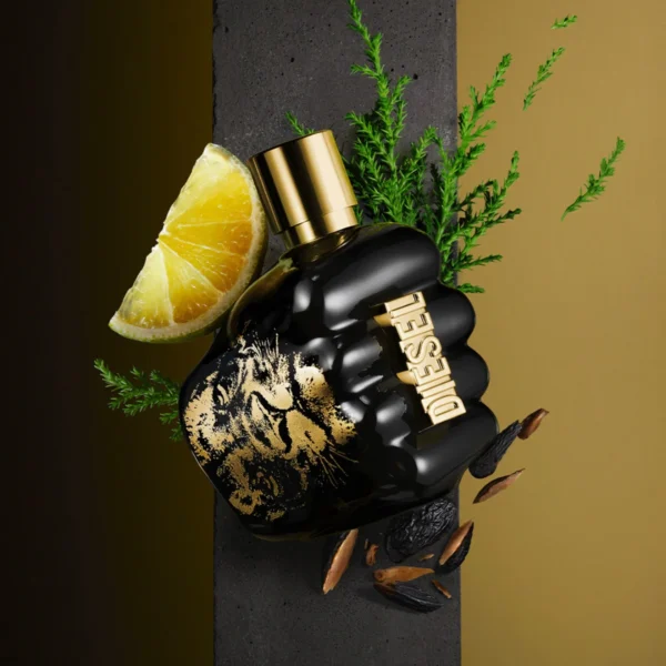 Spirit Of The Brave Diesel – Image 2
