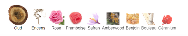 Ombre Nomade – Image 4