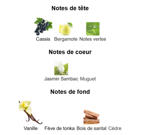 Météore de Louis Vuitton – Image 3