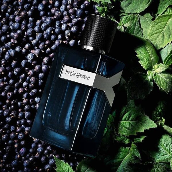 Yves Saint Laurent Y
